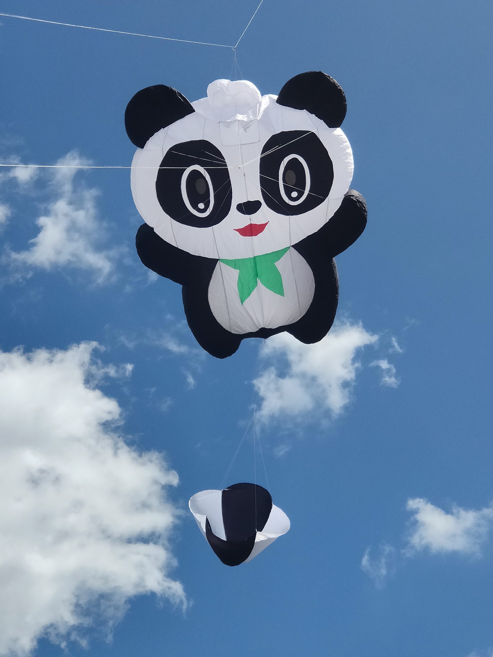 You are currently viewing Panda Bär